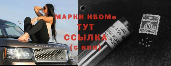 дурь Арсеньев