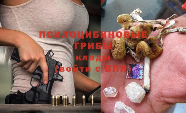 бошки Армянск