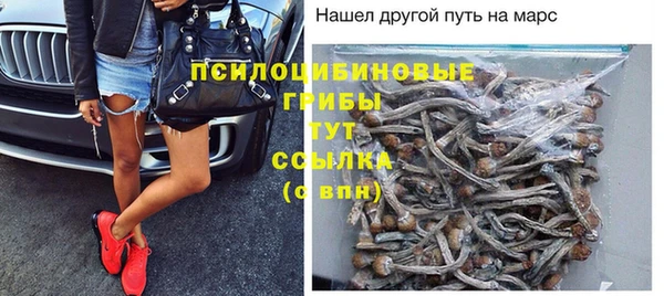дурь Арсеньев