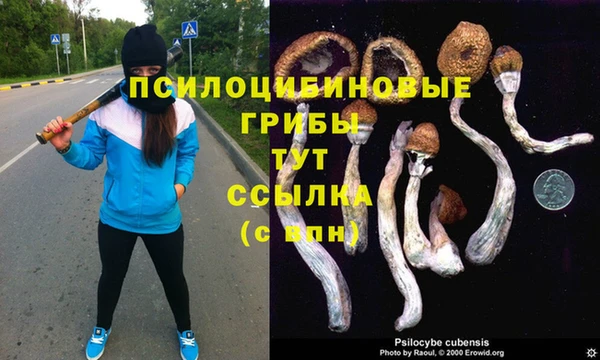 бошки Армянск