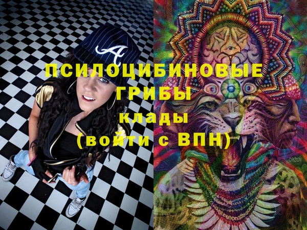 дурь Арсеньев