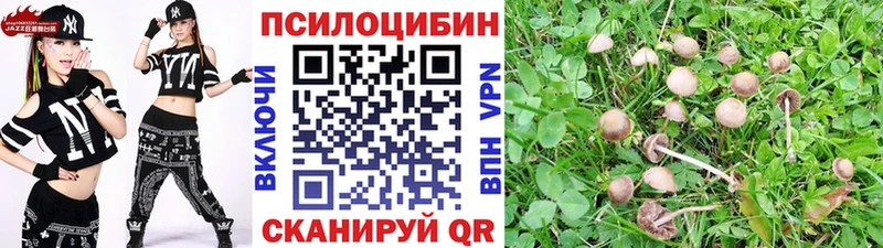 Галлюциногенные грибы Psilocybine cubensis  Мыски 